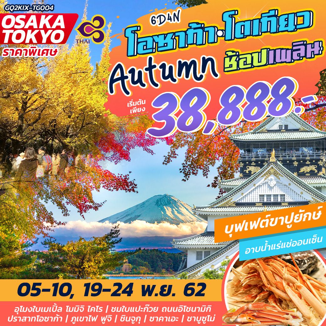 Osaka Tokyo Autumn ช้อปเพลิน 6วัน 4คืน บิน การบินไทย (TG) - ZZB2 KIXTG004 ทัวร์ญี่ปุ่น ทัวร์โอซาก้า ทัวร์โตเกียว ใบไม้เปลี่ยนสี พฤศจิกายน